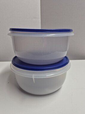 Vintage Tupperware Round Bowls Blue Lids Set of 2 #T4